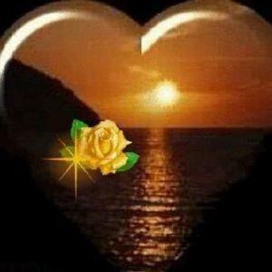 Meet your Posher, Francine